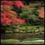 Podzimní Kjóto