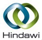 hindawi.jpg